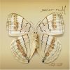 Xavier Rudd-0