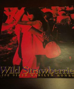 Wild Strawberries-3