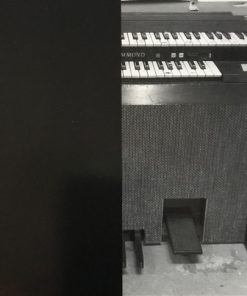 The Organ-1
