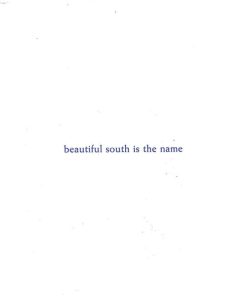 The Beautiful South-4