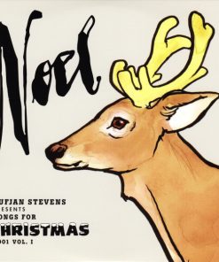 Sufjan Stevens-4