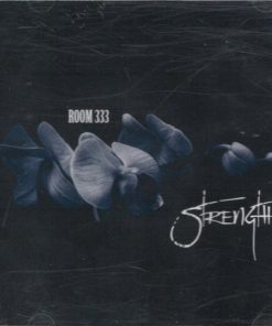 Room 333-0
