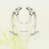 My Brightest Diamond-0