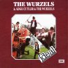 The Wurzels & Adge Cutler-0