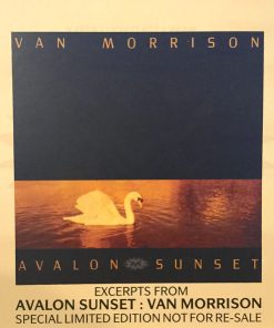 Van Morrison-0