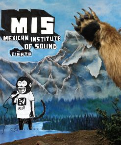 Mexican Institute Of Sound-0