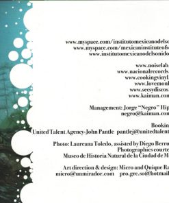 Mexican Institute Of Sound-3