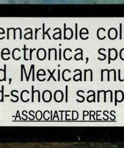 Mexican Institute Of Sound-4