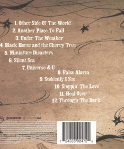 KT Tunstall-1