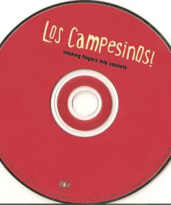 Los Campesinos!-2