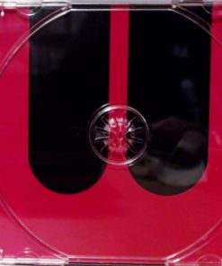 The Magnetic Fields-2