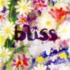 Bliss (48)-0