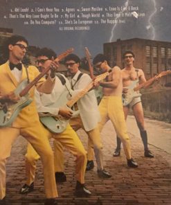 Donnie Iris-2