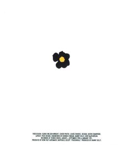 New Fast Automatic Daffodils-4