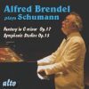 Alfred Brendel - Schumann*-0
