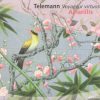 Georg Philipp Telemann, Amarillis-0
