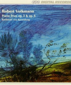 Robert Volkmann - Beethoven Trio Ravensburg-0