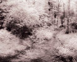 Heiki Sillaste-3