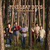 Pine Leaf Boys-0