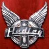 Hedley-0
