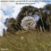 Wolfgang Amadeus Mozart, The Salomon Quartet-0