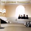 The Ladybug Transistor-0