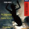 Alexander Von Zemlinsky - Ernst Senff Chor Berlin, Radio-Symphonie-Orchester Berlin, Riccardo Chailly-0