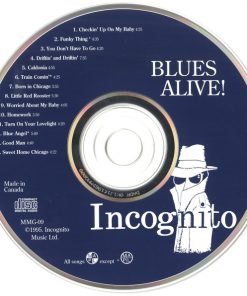 Incognito (10)-3
