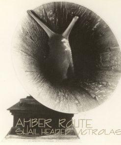 Amber Route-0