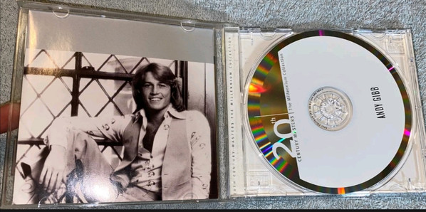Andy Gibb-2