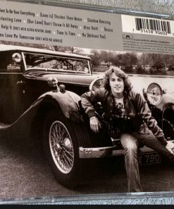 Andy Gibb-3