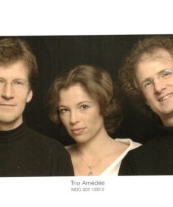 Amédée Rasetti, Trio Amédée-3