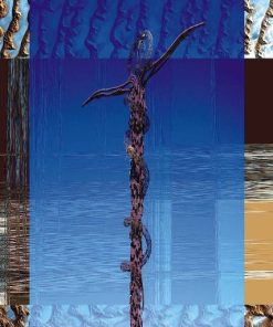 Solumenata-0