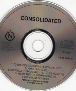 Consolidated-2