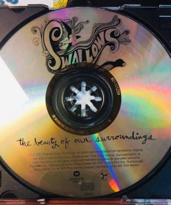 The Swallows (6)-3