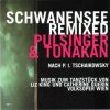 Pulsinger & Tunakan*-0