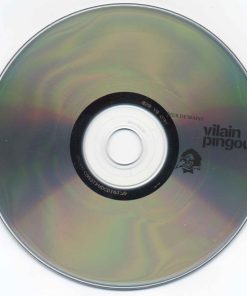 Vilain Pingouin-3