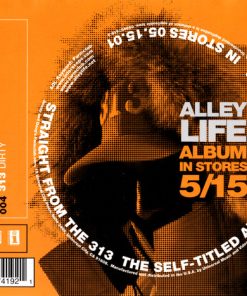 Alley Life-2