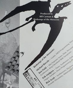 Birdsongs Of The Mesozoic-4