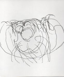 Antony And The Johnsons-1