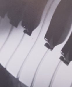 Michael Kaeshammer-3
