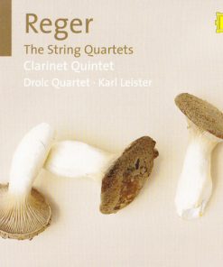 Reger* / Drolc Quartet*, Karl Leister-0