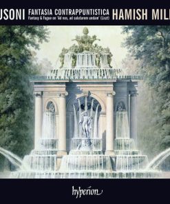 Busoni* / Liszt* - Hamish Milne-0