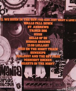 Bedouin Soundclash-1