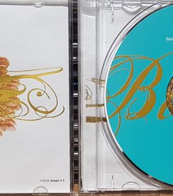 Sarah McLachlan-4