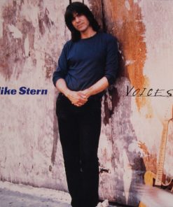 Mike Stern-0