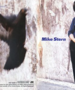 Mike Stern-1
