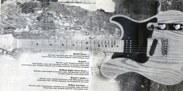Mike Stern-2