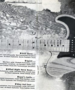 Mike Stern-2