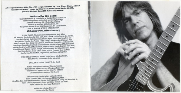 Mike Stern-3